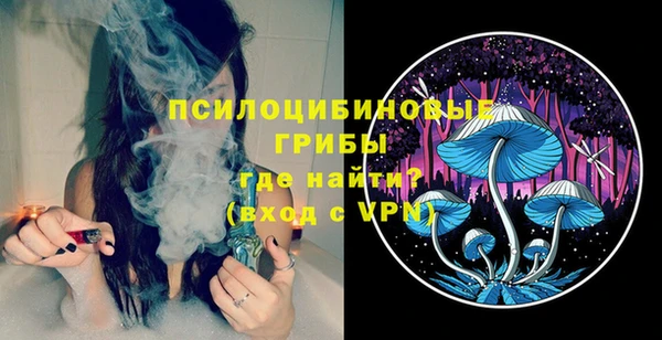 экстази Бородино