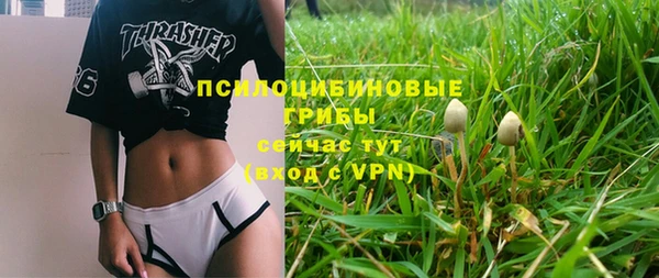 ALPHA PVP Бугульма